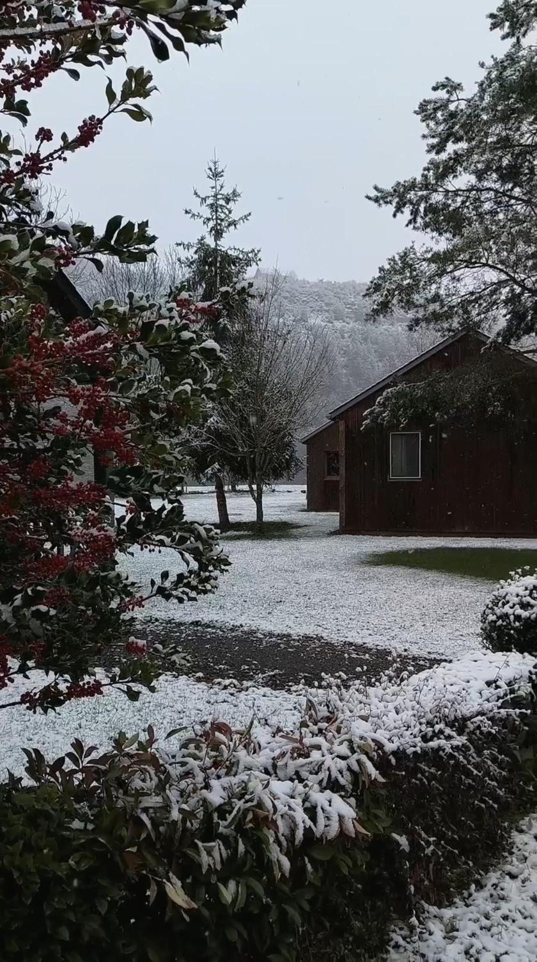 Chalets De La Colagne Bourgs sur Colagne Exteriör bild
